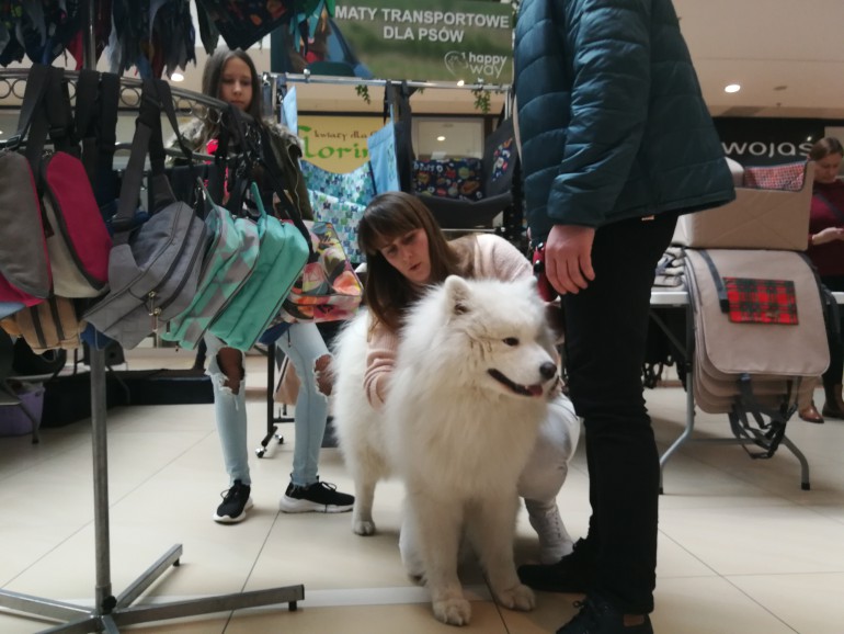 [FOTO] W Galerii Echo dzisiaj wszystko dla psów i kotów. Nawet... ubranka