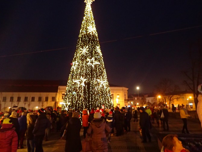 Choinka na Rynku już błyszczy