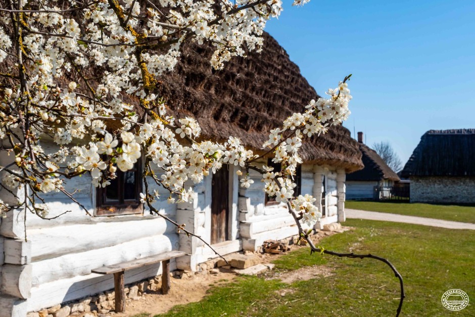 Przed nami Świętokrzyski Festiwal Smaków w Tokarni