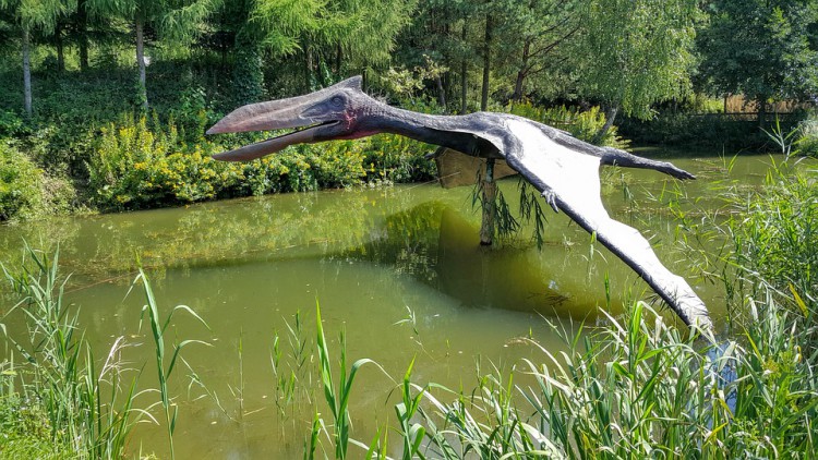 Dinozaury górą! Bałtów najchętniej odwiedzanym miejscem w Świętokrzyskiem