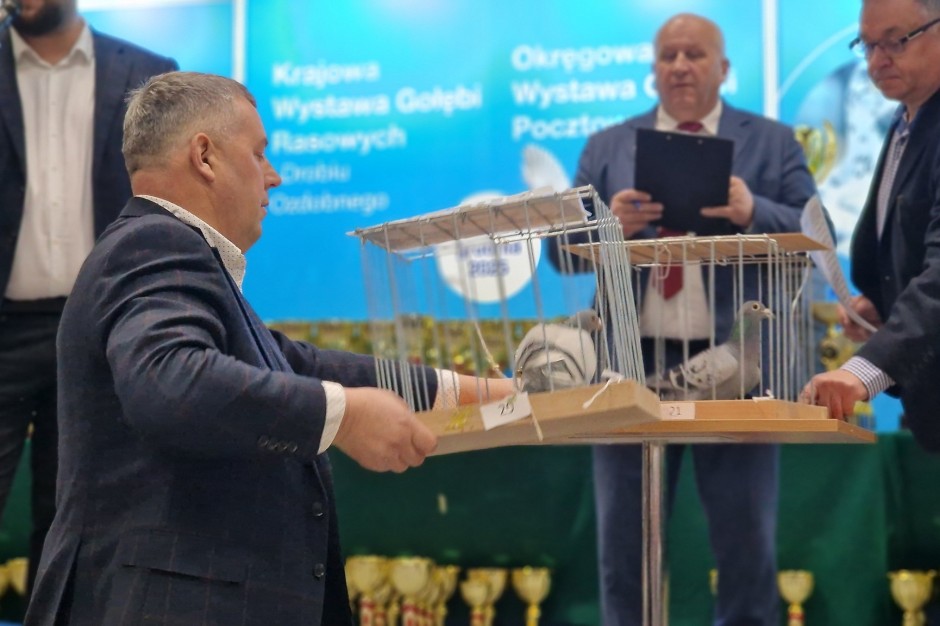 Gołębie pocztowe w słusznej sprawie. Zostały zlicytowane na rzecz szpitala