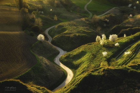 Zrobił sobie motocrossowy rajd przez średniowieczne grodzisko. Tablice zakazu zignorował