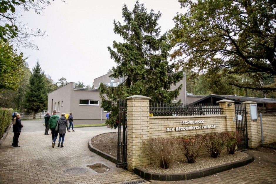 Elektrośmieci w służbie bezdomnym zwierzętom