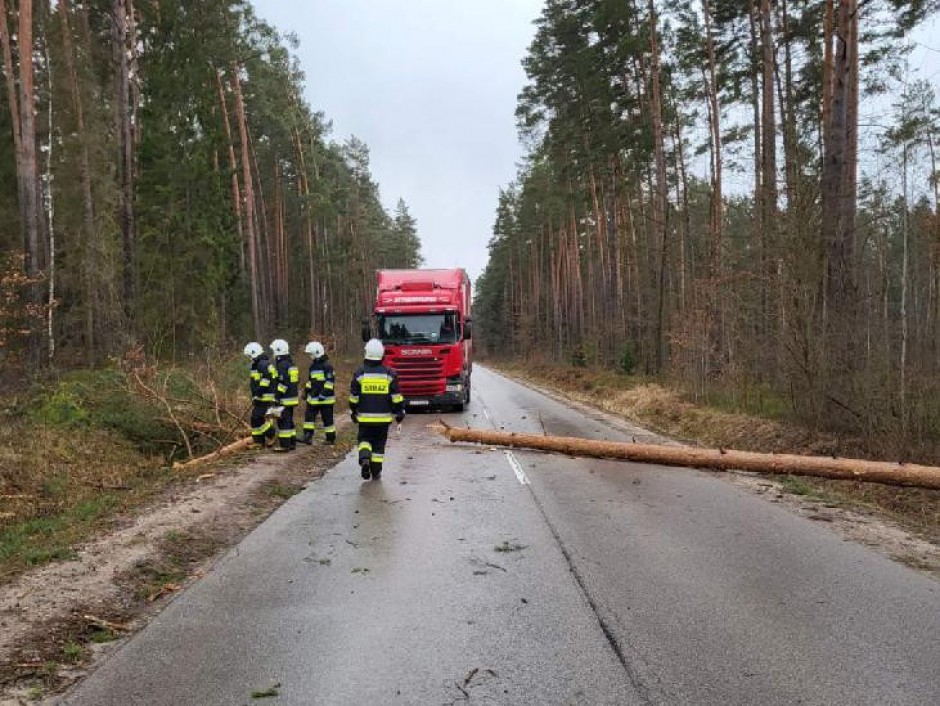 [ZDJĘCIA] Wietrzny dzień za nami. Przeszło 130 interwencji strażaków