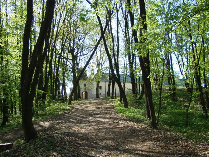 151. rocznica Powstania Styczniowego