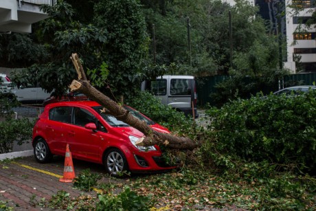 Wciąż silne wichury w regionie. Strażacy interweniowali w weekend prawie 600 razy