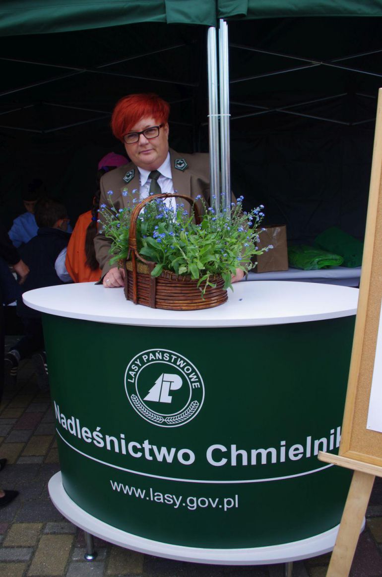 Dzień Polskiej Niezapominajki w Chmielniku