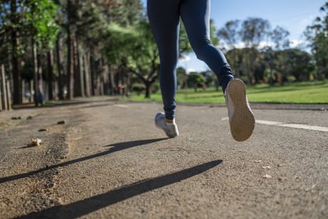 Przed nami jedna z największych imprez sportowych w regionie, czyli II Półmaraton Buski