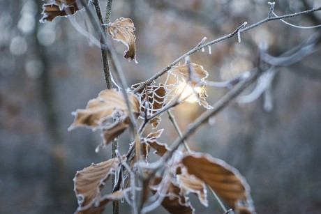 Będą przymrozki - ostrzeżenie meteorologiczne pierwszego stopnia