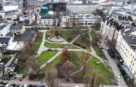 Wytną 11, a posadzą 14. Ruszają prace na skwerze Sendlerowej