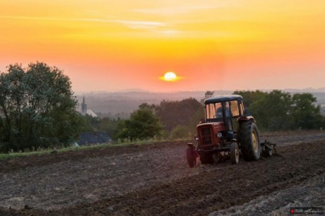 Wypadek przy pracach polowych. Mężczyzna wciągnięty pod rozrzutnik