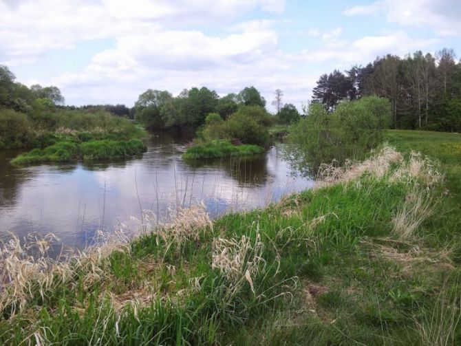 Rośnie stan wód w świętokrzyskich rzekach [AKTL.]