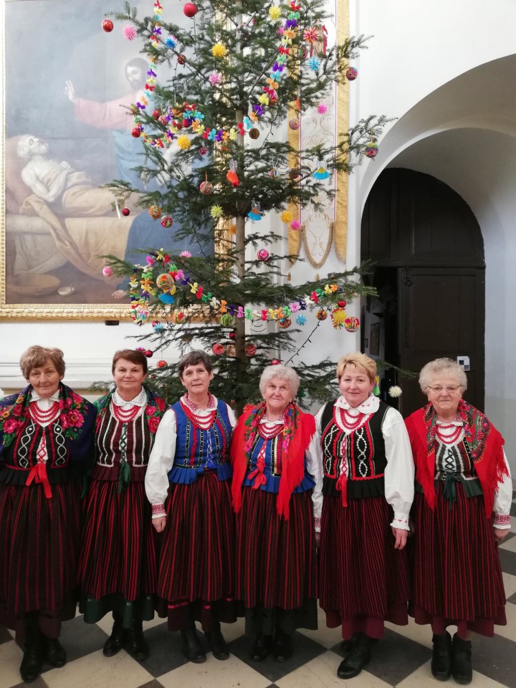 Choinki przy szopce na Świętym Krzyżu już udekorowane