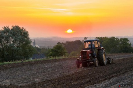 Rolnicy otrzymają dopłaty do nawozów. Sprawdź, jak złożyć wniosek