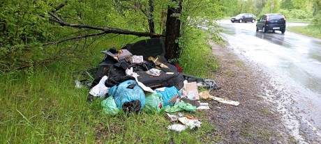 Nie wiedziała co zrobić ze śmieciami, więc wyrzuciła je przy drodze