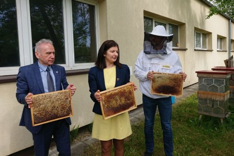 Politechnika miodem płynąca