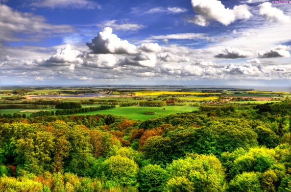 Lasy Nadleśnictwa Kielce -  piękno i bogactwo naszych kieleckich lasów, natura, edukacja i ekologia.