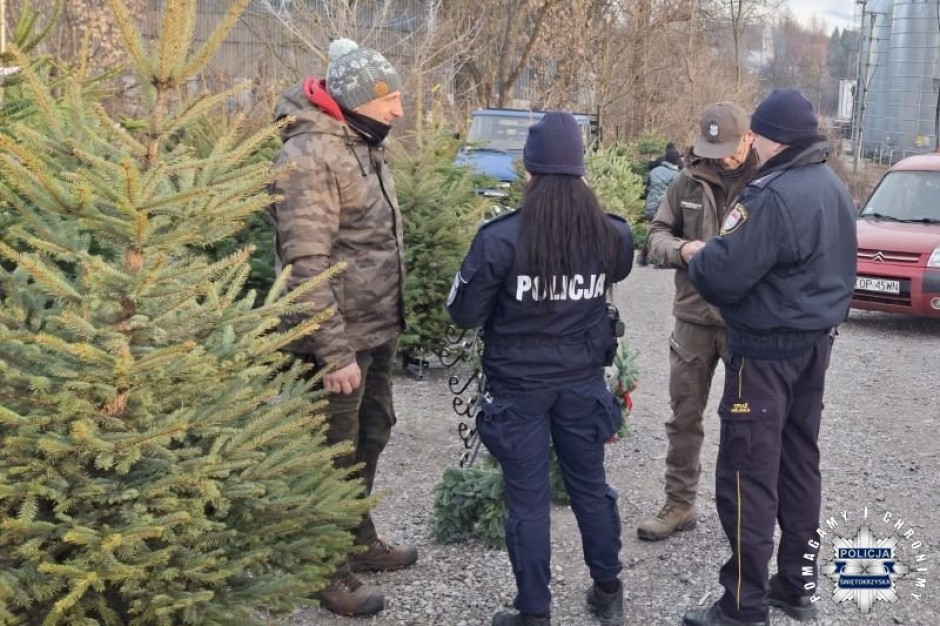 Świąteczne stroiki kupuj w zgodzie z przyrodą