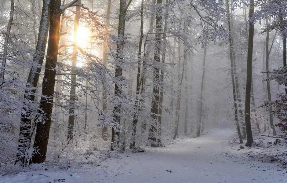 Nadciąga do nas „Bestia ze Wschodu”? Synoptyk IMGW wyjaśnia