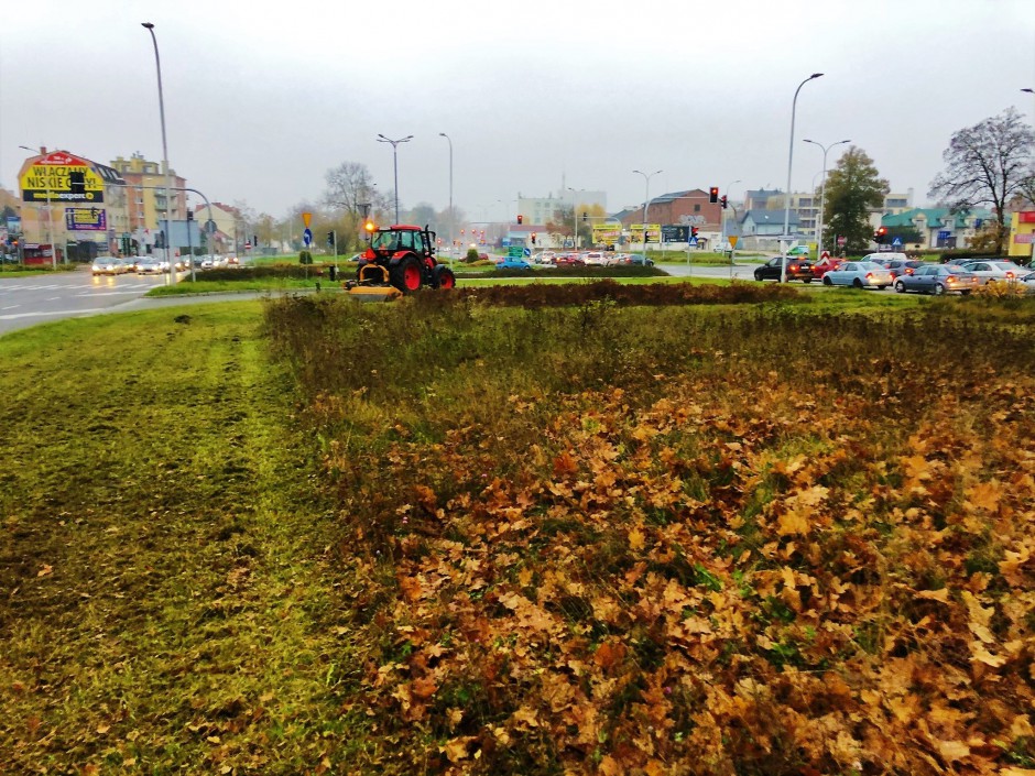 Miasto rozpoczęło koszenie łąk kwietnych