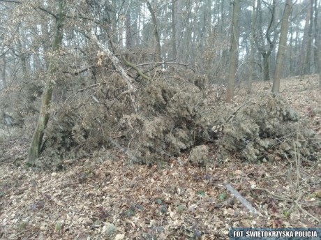 Jedenaście godzin błądził po lesie. Pomoc nadeszła w ostatniej chwili