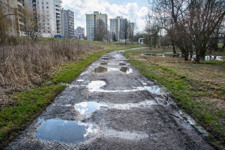 Co z Doliną Silnicy? Będą konsultacje i plan zagospodarowania?