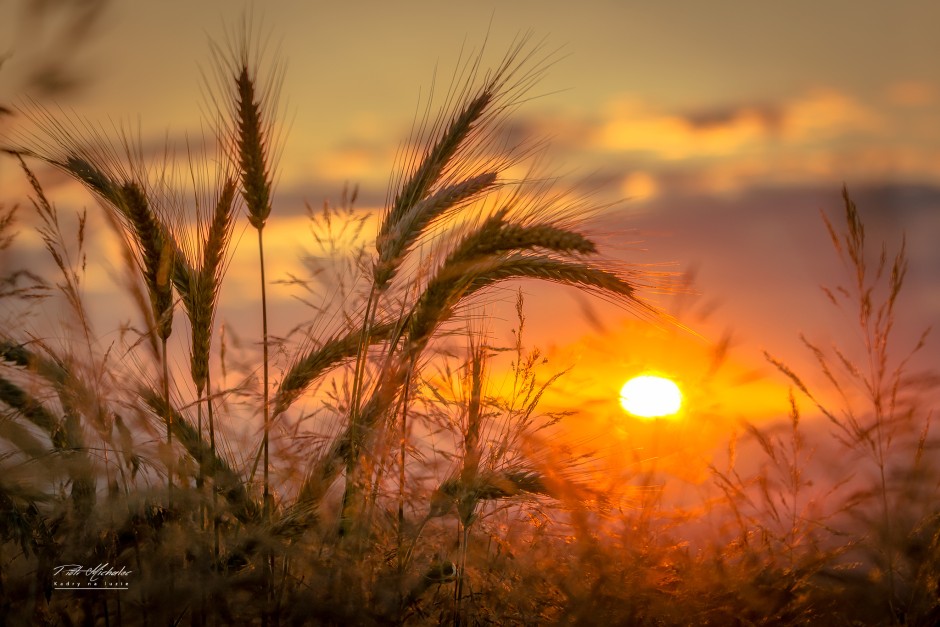 Synoptyk: Nie skreślajmy lata. Wrzesień nas jeszcze zaskoczy