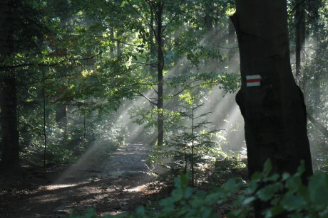 Kto może bezpłatnie odwiedzić Świętokrzyski Park Narodowy?