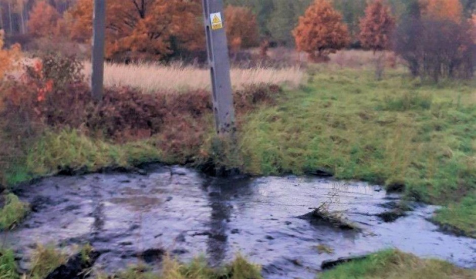 Nieczystości na obrzeżach miasta. Badania wykażą, czy niebezpieczne