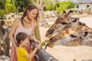 W Kielcach powstanie ogród zoologiczny!