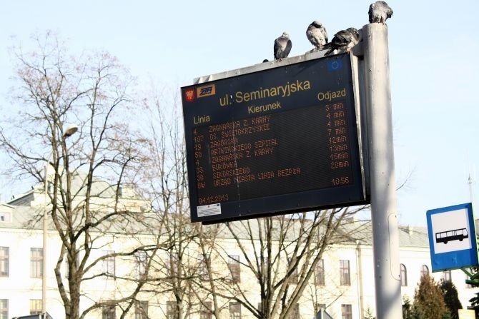 Od września nowe linie autobusowe