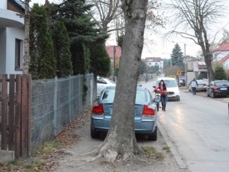 Kolejne problemy na Wybranieckiej. Mieszkańcy chcą dłuższego chodnika i ścięcia drzew