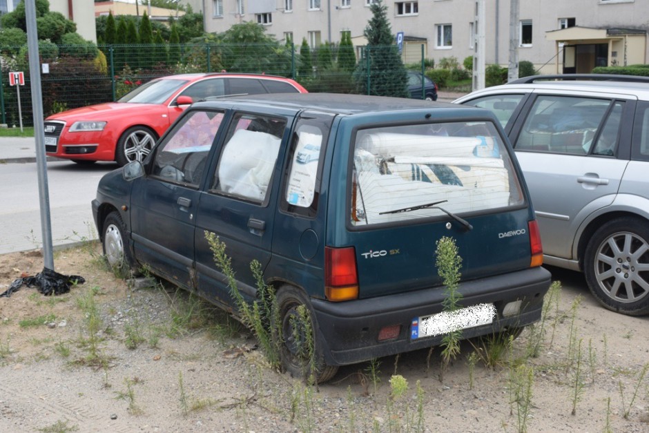 Samochody ze śmieciami i szczurami przy Kochanowskiego. Miasto zapewnia, że rozwiąże problem