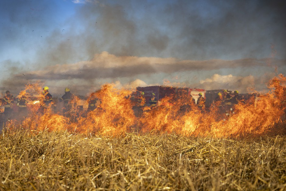 Pożar w gminie Brody. Płonie 10 hektarów gruntów