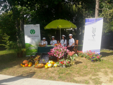 [FOTO] Stacja Zabawa. Piknik rodzinny przy Urzędzie Wojewódzkim