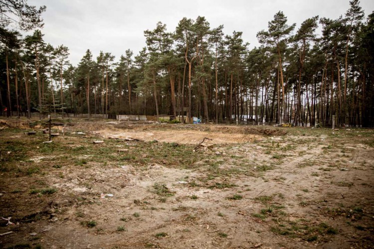 Na Stadionie powstają apartamenty i… wycinane są drzewa