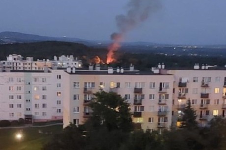 Pożar na ogródkach działkowych