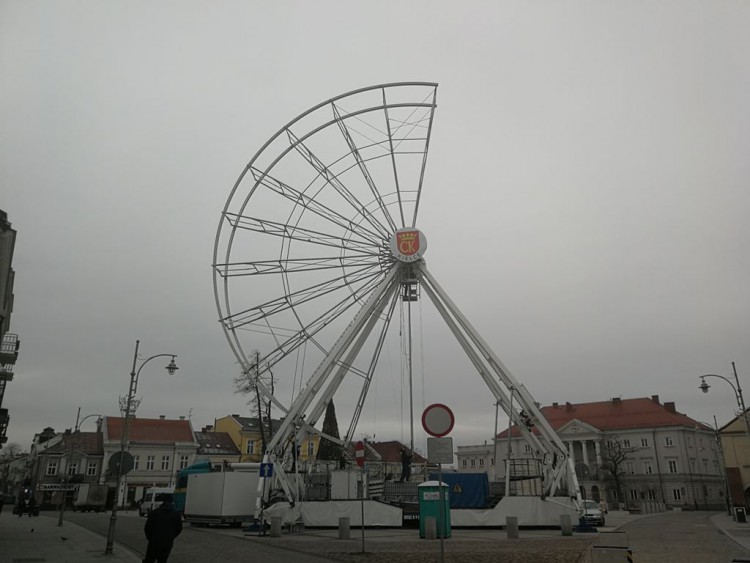 [FOTO] Trzydziestometrowy kolos rośnie jak na drożdżach