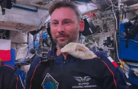 [VIDEO] Pierwsza taka konsumpcja w kosmosie. Sławosz Uznański-Wiśniewski zajadał się kieleckimi pierogami