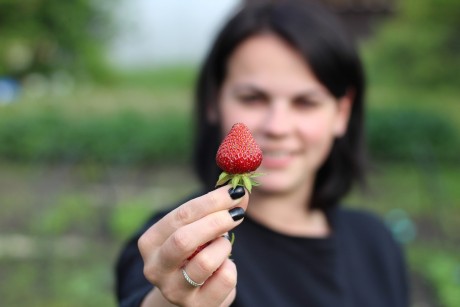 Gratka dla miłośników owoców. W niedzielę święto truskawki!