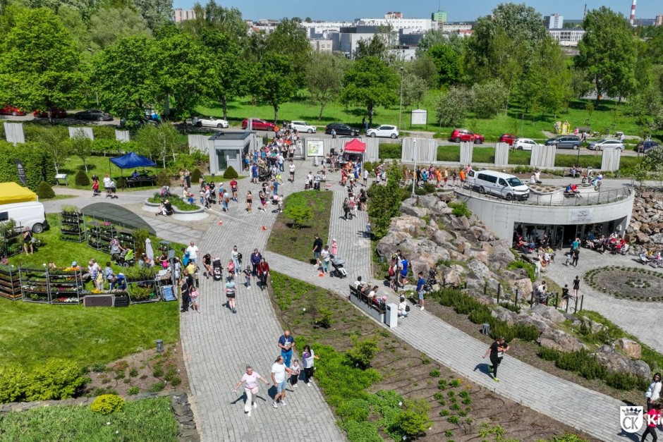 Kino letnie i „zapylacze” w Ogrodzie Botanicznym