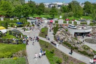 Kino letnie i „zapylacze” w Ogrodzie Botanicznym