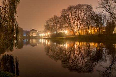 Specjalistyczna firma oczyści kielecki staw