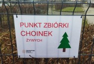 Ostatnia szansa na oddanie choinki do Ogrodu Botanicznego