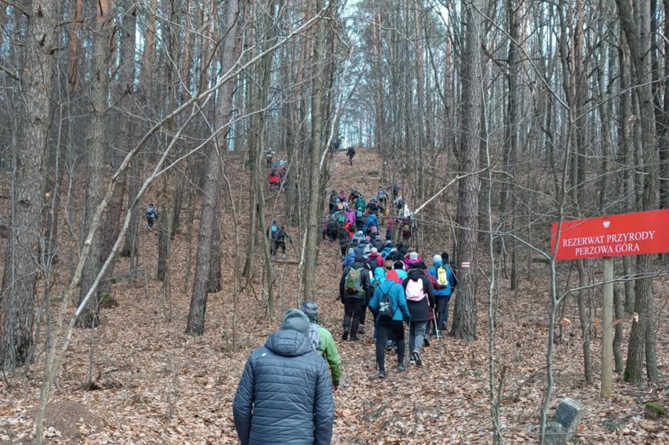 W Strawczynie pójdą w "Cztery pory roku"