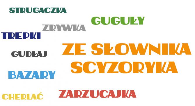 Powstaje „słownik scyzoryka”. Trwa głosowanie