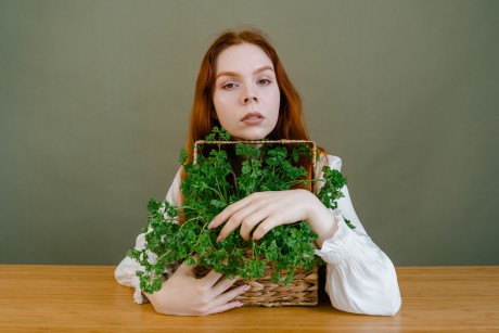 Jesienne skarby natury. Jakie zioła można zebrać w listopadzie?