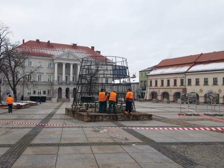 Choinka już wkrótce rozbłyśnie na Rynku. Rozpoczęły się prace montażowe