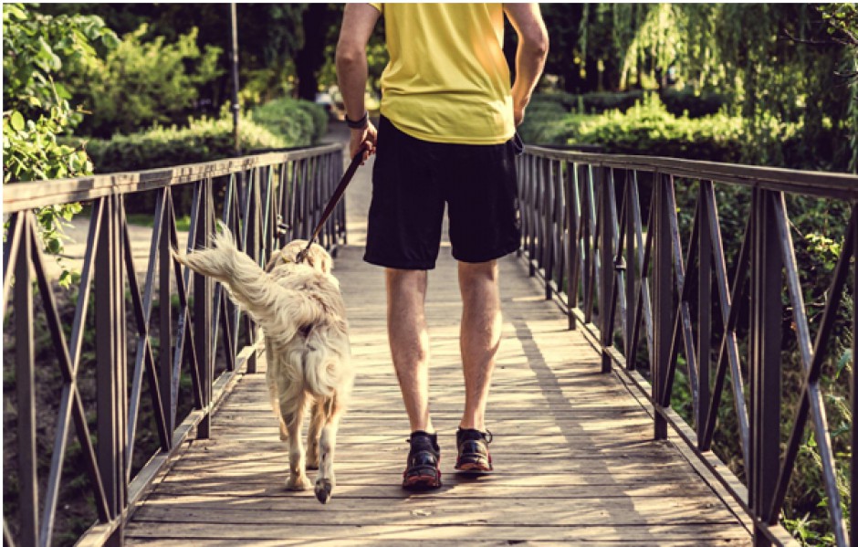 Bieganie z psem – wszystko co musisz wiedzieć!