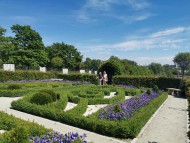 Kielecki Ogród Botaniczny rozkwita na wiosnę